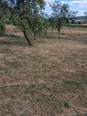 Jardin.jpg