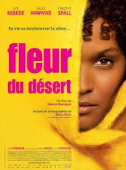 Fleur du désert.jpg